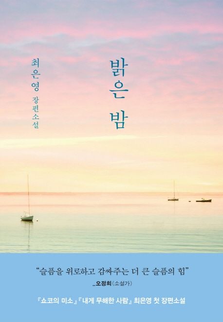 최은영의 밝은 밤 표지